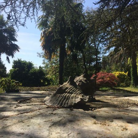 Chambres D'Hotes Closerie Du Guilhat Salies-de-Béarn Zewnętrze zdjęcie